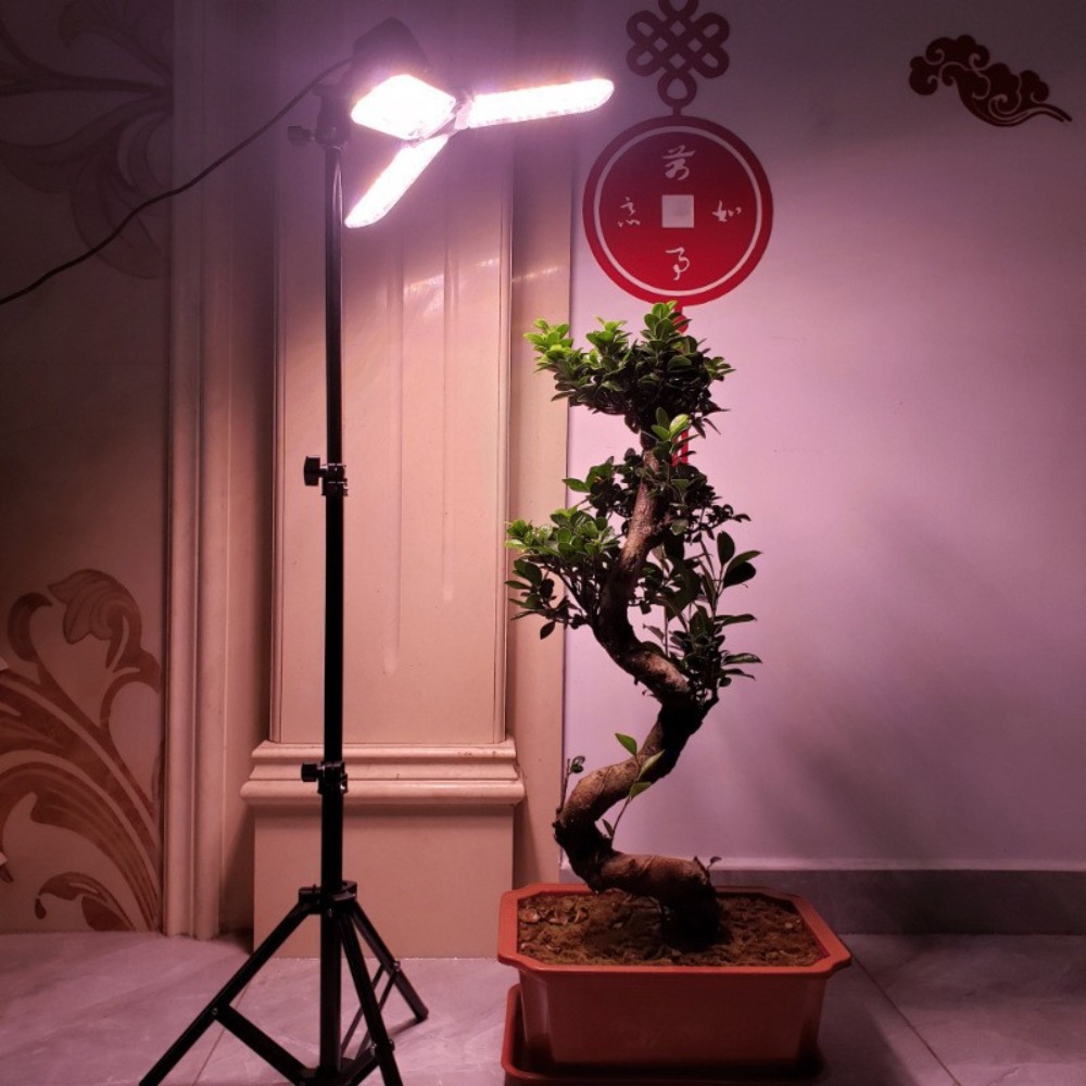 電球スタンド 2M、E27 ACソケット付き傘型ランプホルダ - Photography Bulb のレビューと価格